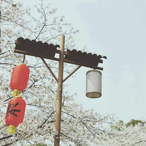 老外男人与雌性宠物交视频
